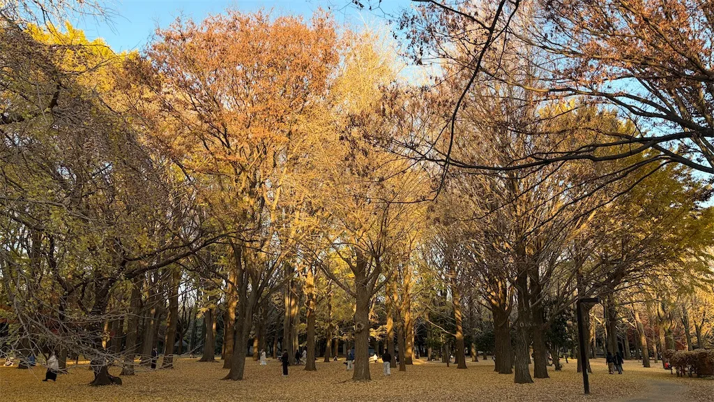 代々木公園の風景