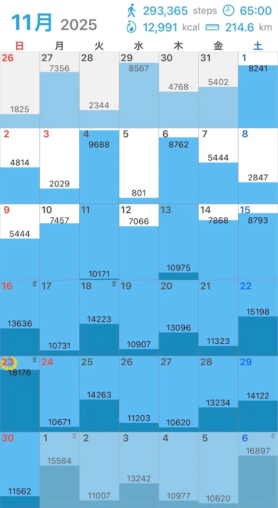 トレーニング記録1